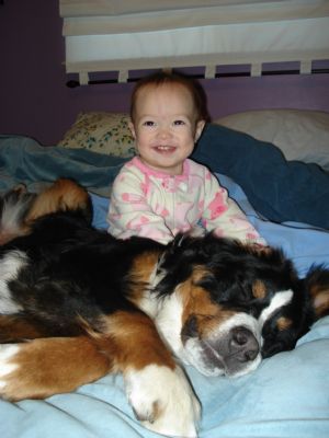 Click for Large Version