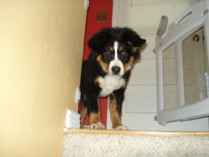 Click for Large Version