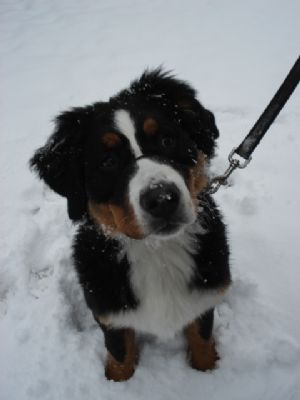 Click for Large Version