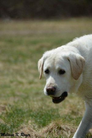 Click for Large Version