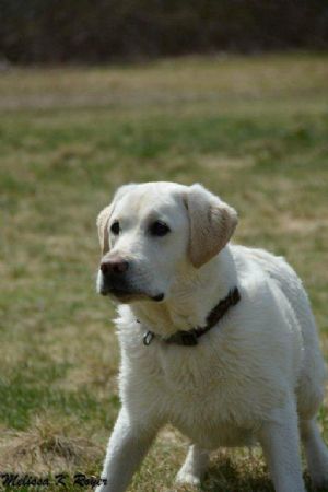 Click for Large Version