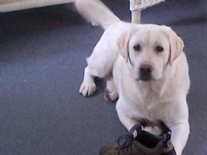 Click for Large Version