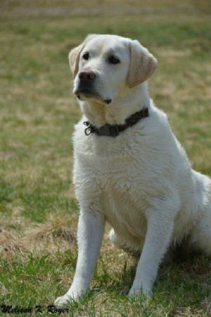 Click for Large Version