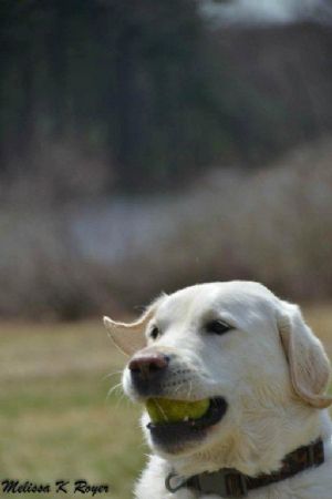 Click for Large Version