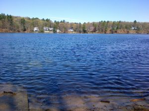 Click for Large Version