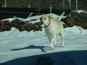 Click for Large Version