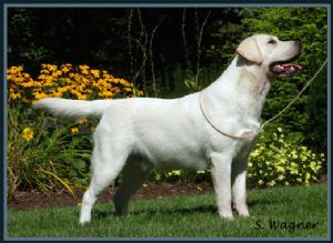 Click for Large Version