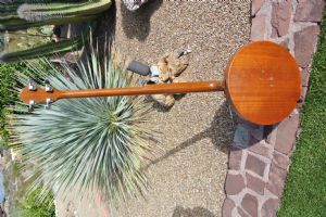 Click for Large Version