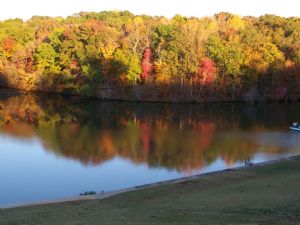 Click for Large Version