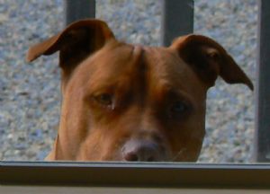 Click for Large Version