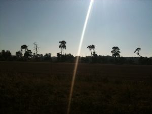 Click for Large Version