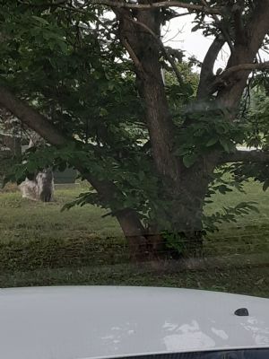 Click for Large Version