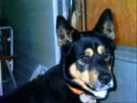 Click for Large Version