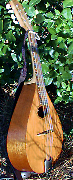 Click for Large Version