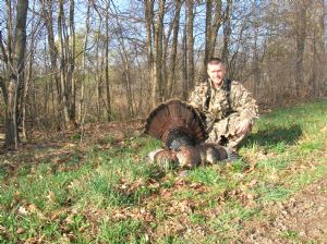 Click for Large Version