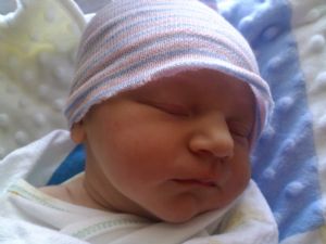 Click for Large Version