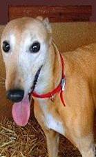 Click for Large Version