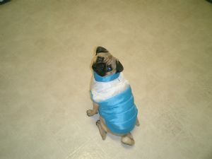 Click for Large Version