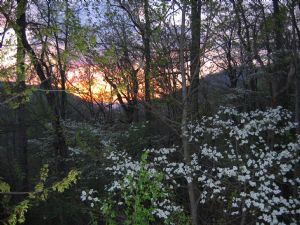 Click for Large Version