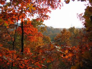 Click for Large Version