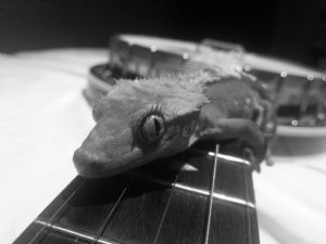 Click for Large Version