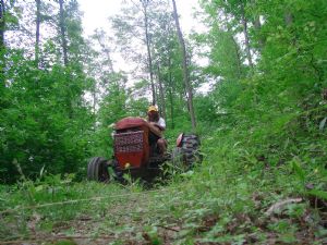 Click for Large Version