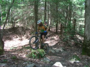 Click for Large Version