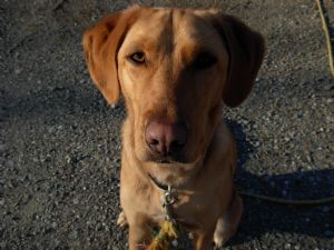 Click for Large Version