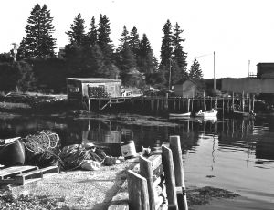 Click for Large Version