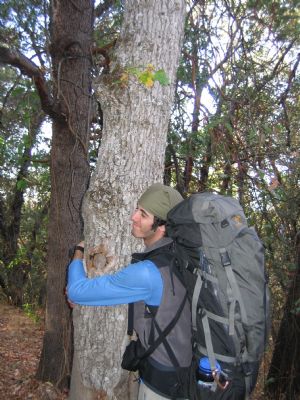 Click for Large Version