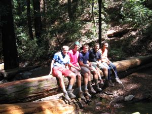 Click for Large Version