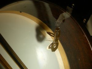 Click for Large Version