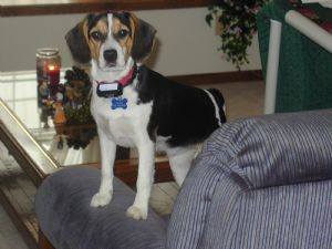 Click for Large Version