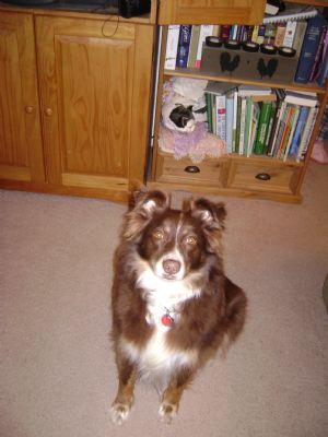 Click for Large Version