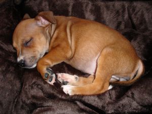 Click for Large Version