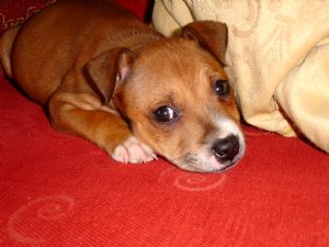 Click for Large Version