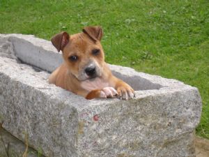 Click for Large Version