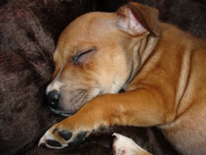 Click for Large Version