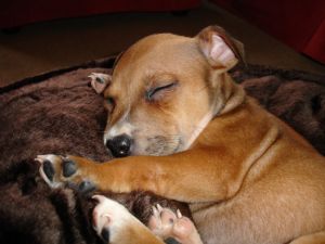 Click for Large Version