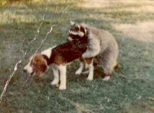 Click for Large Version