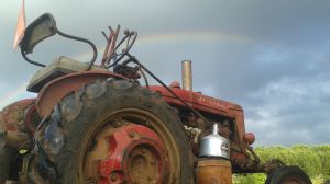 Click for Large Version