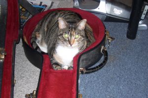 Click for Large Version