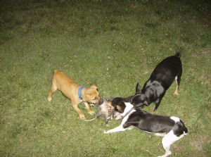 Click for Large Version