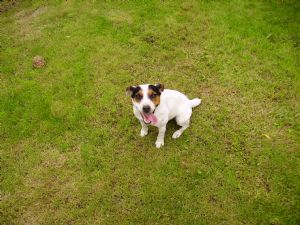 Click for Large Version