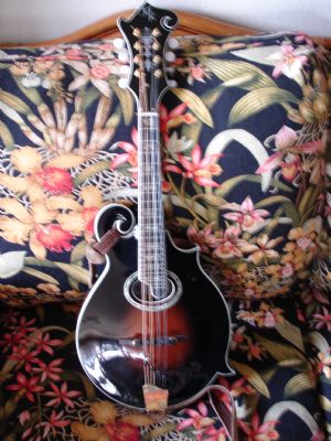 Click for Large Version