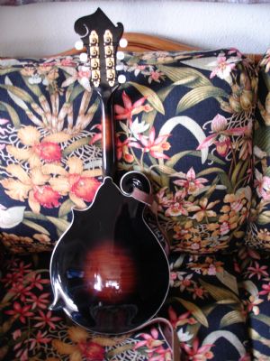 Click for Large Version