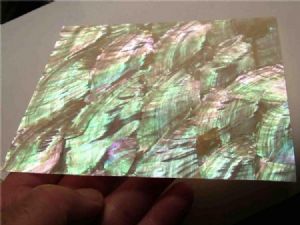 Click for Large Version