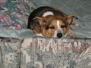 Click for Large Version