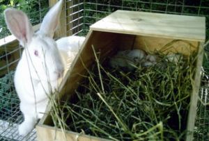 Click for Large Version