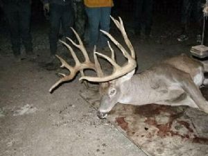 Click for Large Version